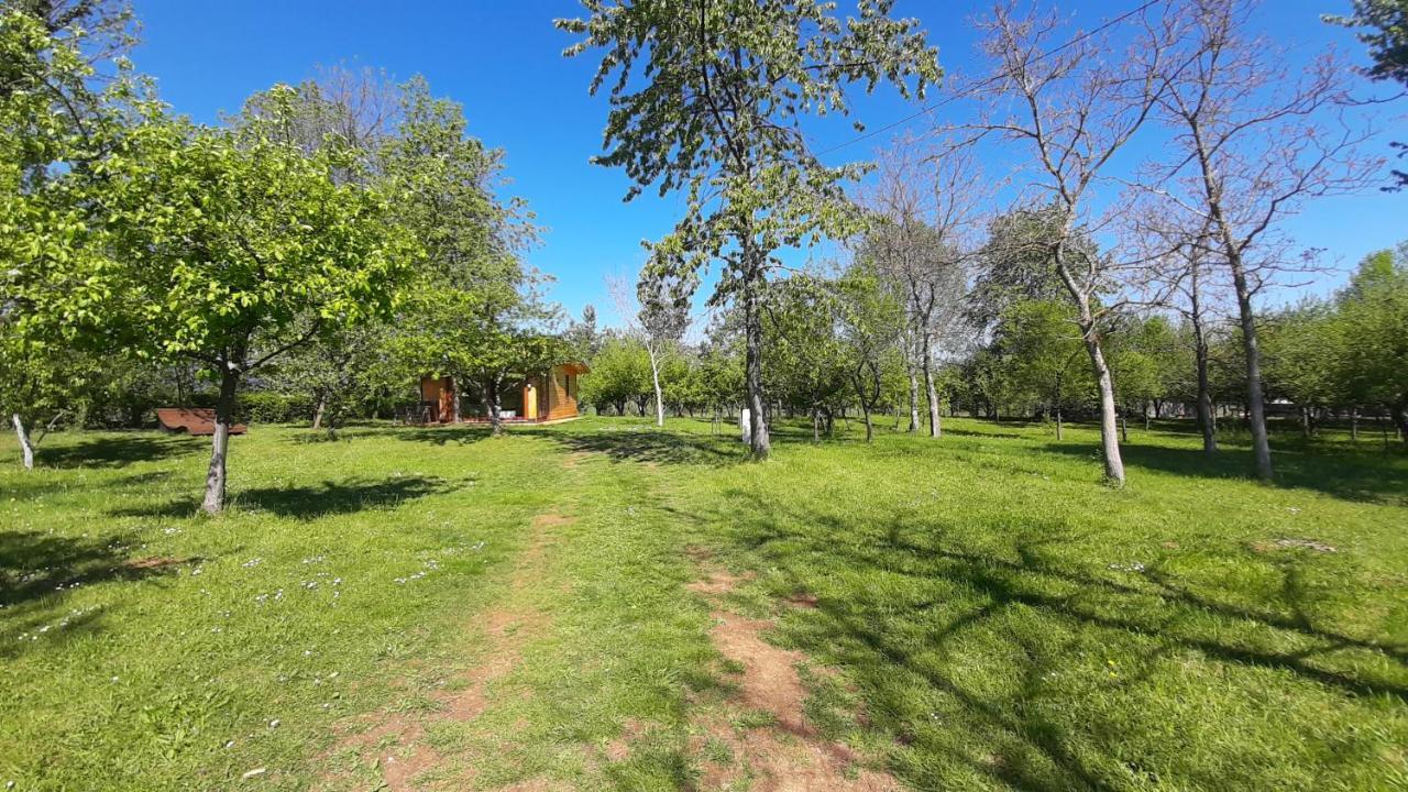 Villa Tiny House Grabovac Rakovica Exterior foto