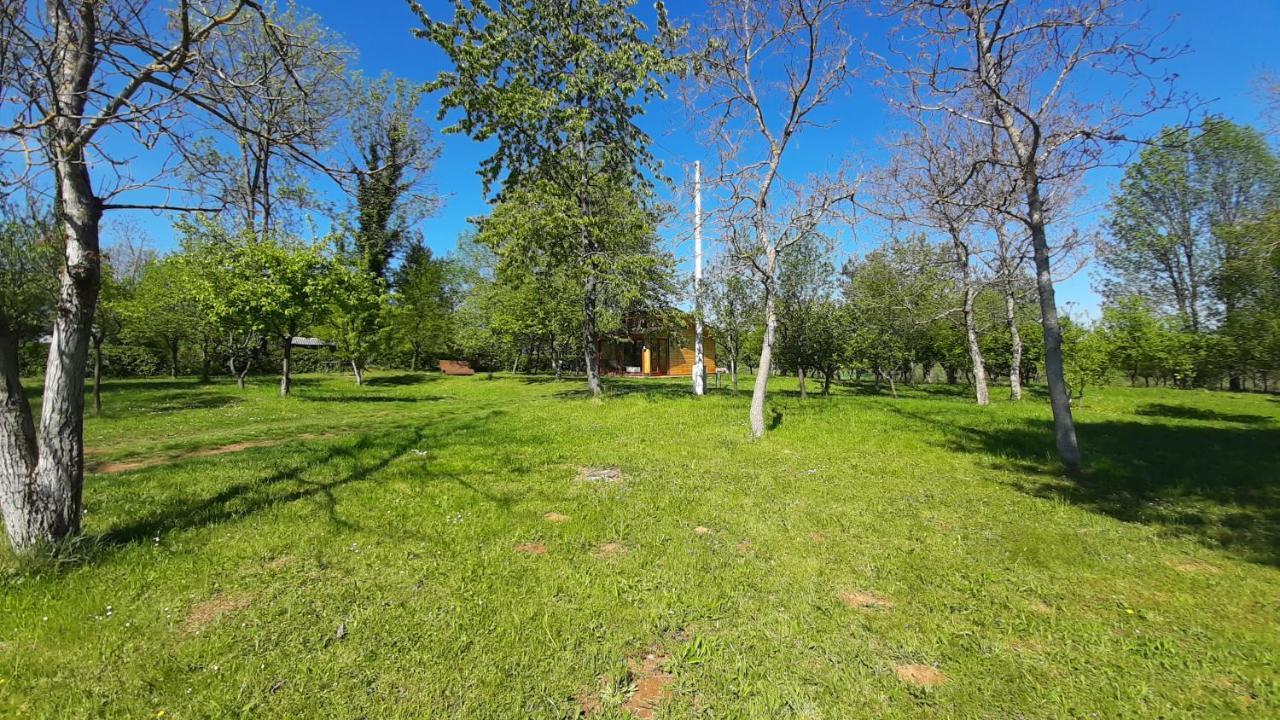 Villa Tiny House Grabovac Rakovica Exterior foto